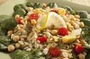 image of orzo salad