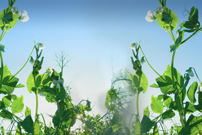 NPGA Strengthens Montana Presence with Strategic Hire 